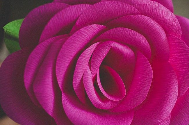 Роза из бумаги — 117 фото и описание способов как сделать красивый цветок своими руками