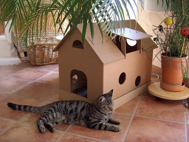 Как легко и просто сделать домик для кошек из обычной коробки